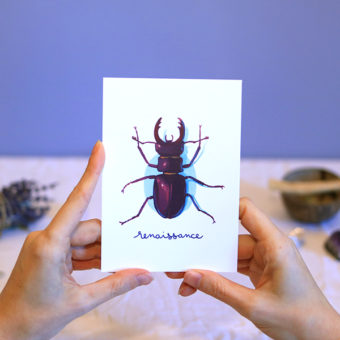 Green Mama Art - Série de cartes Animal Totem Insecte Scarabée