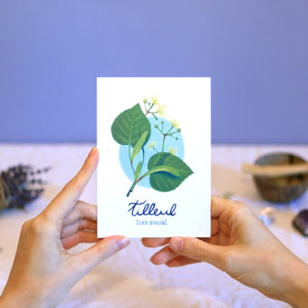 Green Mama Art - Série de cartes Plante Medicinale Camomille